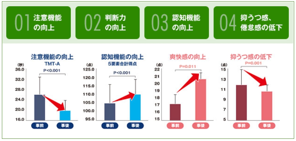 運動療法シナプソロジーの効果測定グラフ